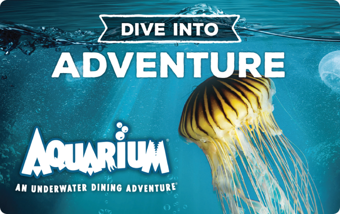 Aquarium US
